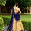 Stylish WMN 2019 Kanchipuram Zari Work South Indian Lehenga Choli Collection Wholesale 2026
