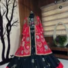 Stylish C585 201 Heavy Muslin Cotton with Mirror Work Lehenga Chaniya Choli Wholesale 2026