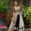 Beautiful C585 206 Heavy Muslin Cotton With Mirror Work Navratri Lehenga Choli Wholesale 2026