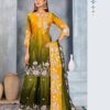 Stylish Rangrut Ishara Chinon Embroidery Salwar Kameez Collection Wholesale 2026