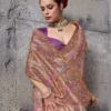 Sethnic Muse Delight Banarasi Tissue Silk Meenakari Patta Weaving Saree Collection Wholesale