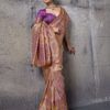 Sethnic Muse Delight Banarasi Tissue Silk Meenakari Patta Weaving Saree Collection Wholesale