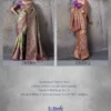 Sethnic Muse Delight Banarasi Tissue Silk Meenakari Patta Weaving Saree Collection Wholesale