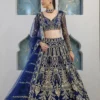 SBD 1885 Butterfly Net With Embroidery Sequins Work Lehenga Choli Wholesale Supplier