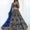 SBD 1885 Butterfly Net With Embroidery Sequins Work Lehenga Choli Wholesale Supplier