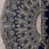 SBD 1885 Butterfly Net With Embroidery Sequins Work Lehenga Choli Wholesale Supplier